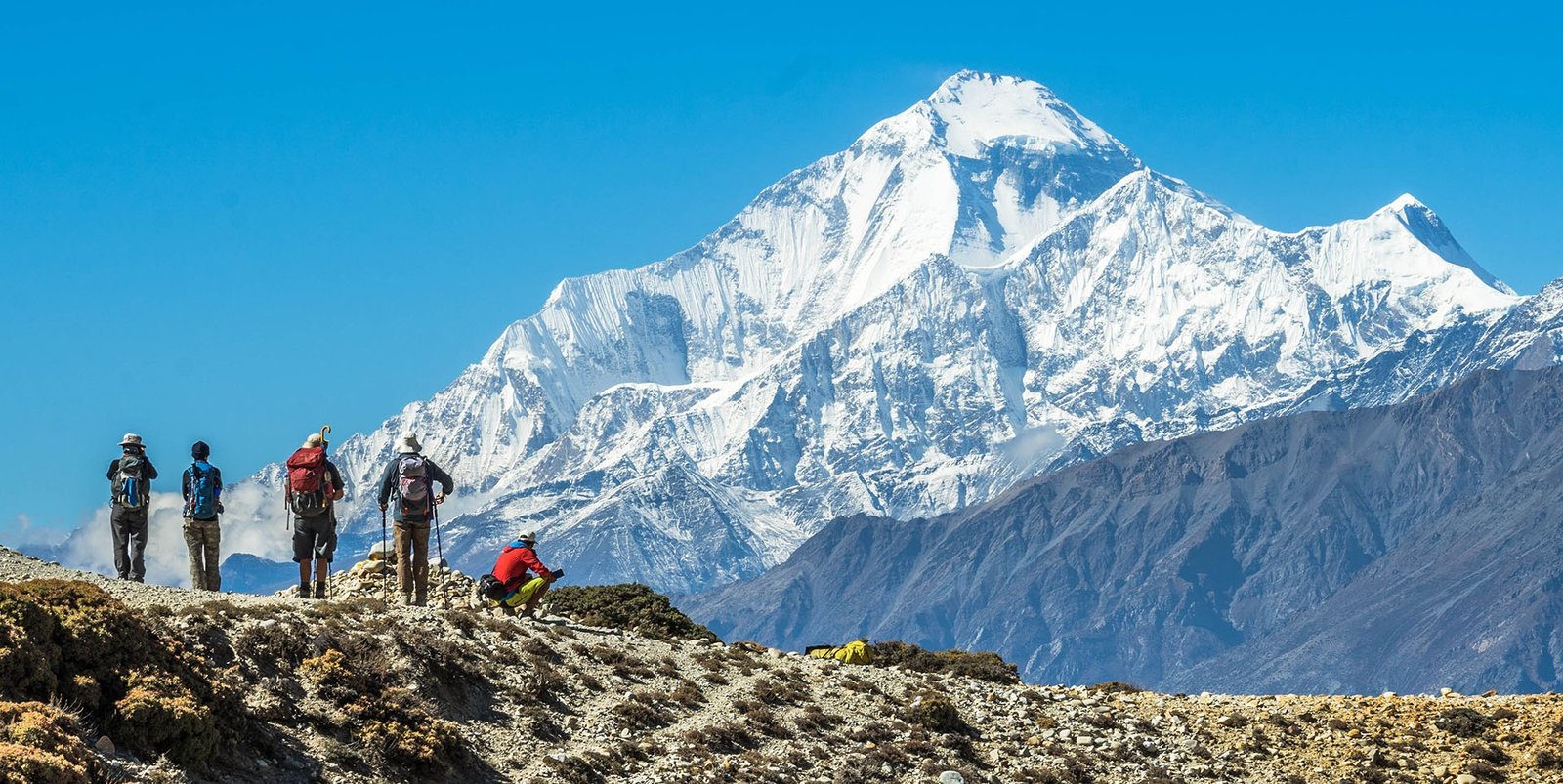Nepal With Mustang