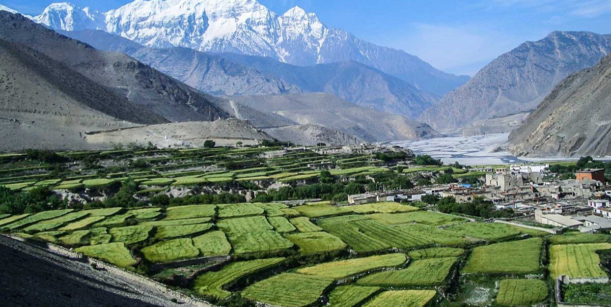 Nepal With Mustang